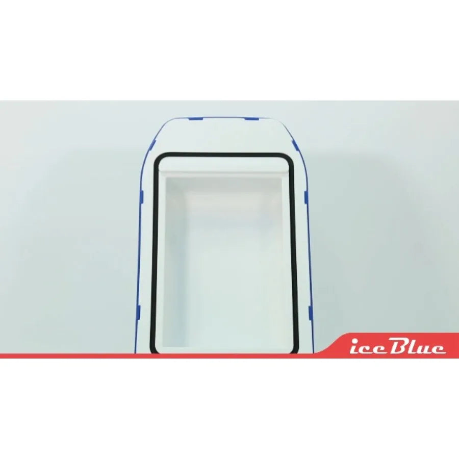 Electric Cooler with Type-C, 8 Liter/11 Cans Mini Fridge with Belt, 9V Type-C Thermoelectric Dual-use Car Refrigerator, Car Fri