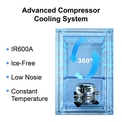 Custom Compact Portable 21L Compressor Glass Door Beverage Beer Wine Under Counter Office Household Refrigerator