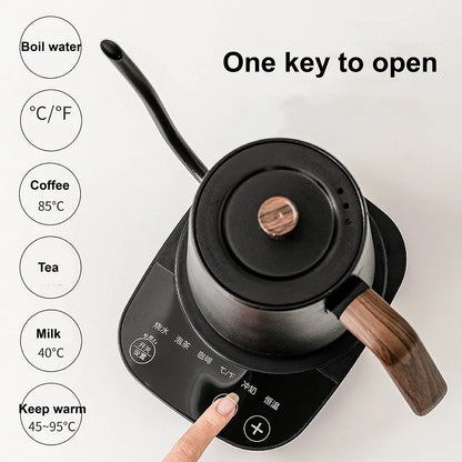 110V/220V Electric Kettle Temperature Control Teapot 304 Stainless Steel Long Mouth Gooseneck Coffee Auto Keep Warm 800ml