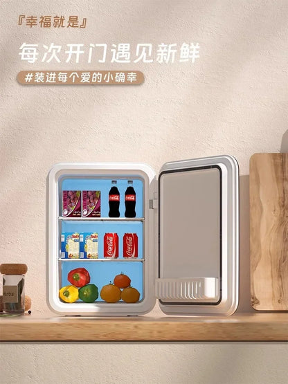 USB/220V Compact Portable Refrigerator for Cars, Dormitories, Beauty Masks, Makeup, and Breast Milk Storage DD