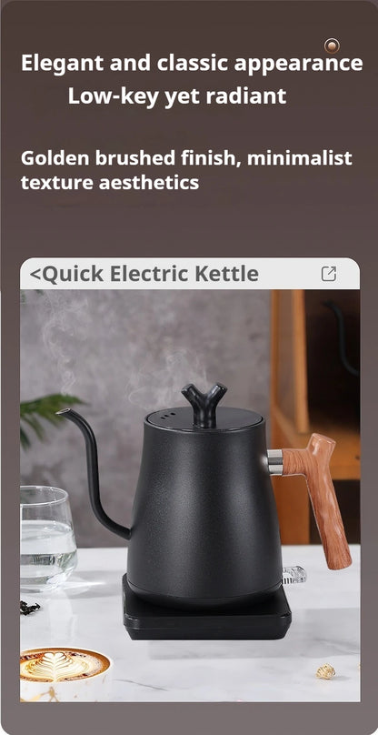V60 1000W Fast Electric Kettle, 1L Capacity, 304 Stainless Steel, One-Touch Boil & Dry Burn Protection