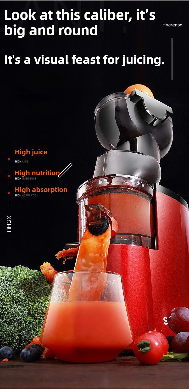 220V Juice Extractor Home Slag Separation Ginger Fruit Vegetable Juice Extractor Multifunctional Fruit Slow Juicer Automatic
