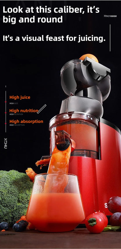220V Juice Extractor Home Slag Separation Ginger Fruit Vegetable Juice Extractor Multifunctional Fruit Slow Juicer Automatic