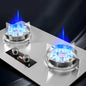 Kitchen Gas Stoves Home Dual Stove Kitchen Embedded Nature Gas/LPG Timing Stove Desktop Dual-Use Cooktop Gas Panel Gas Cooker