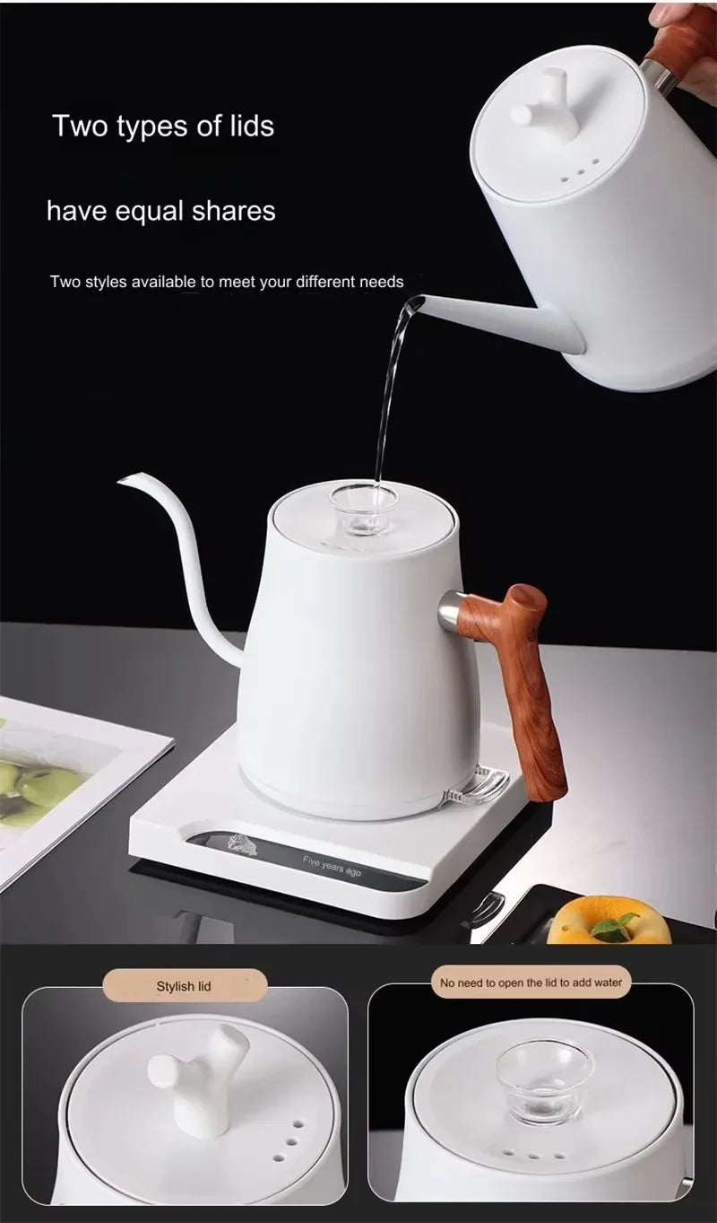 TINSOL 1L Electric Gooseneck Kettle, Manual Brewing Coffee Pot, Smart Teapot, Temperature Control Kettle, 1200W Fast Heating