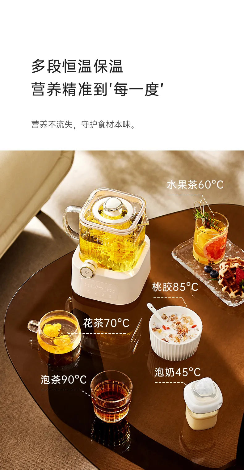 all-glass health pot constant temperature household multi-functional office small electric ceramic stove to make scented tea