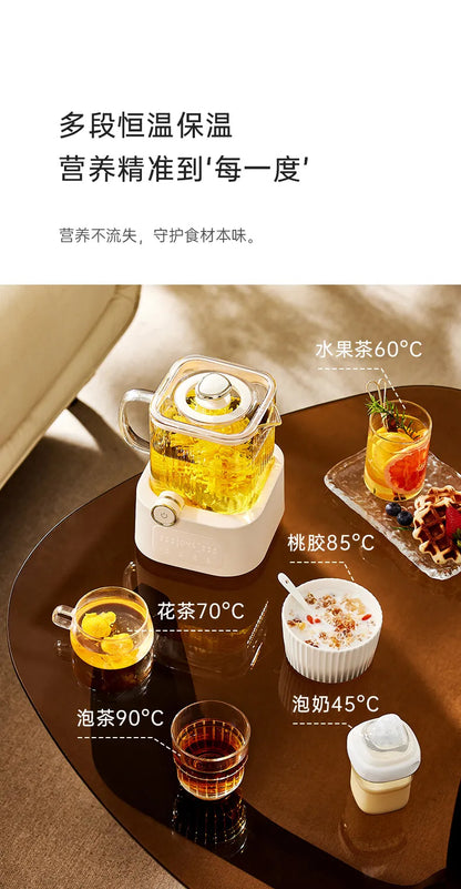 all-glass health pot constant temperature household multi-functional office small electric ceramic stove to make scented tea