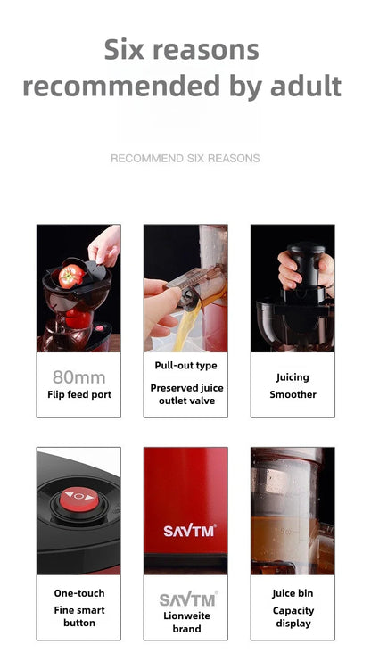 220V Automatic Juice Extractor Home Slag  Separation Ginger Fruit Vegetable Juice Extractor Multifunctional Fruit Slow Juicer