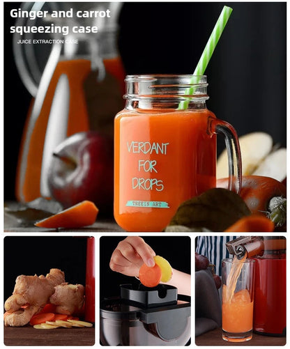 220V Juice Extractor Home Slag Separation Ginger Fruit Vegetable Juice Extractor Multifunctional Fruit Slow Juicer Automatic
