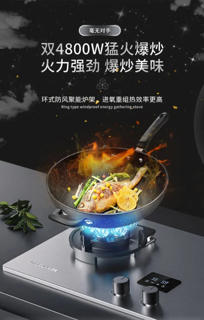 Can Be Turned up Timing Fierce Fire Gas Double Burner Household Gas Furnace Natural Liquefied Petroleum Gas Stove Embedded