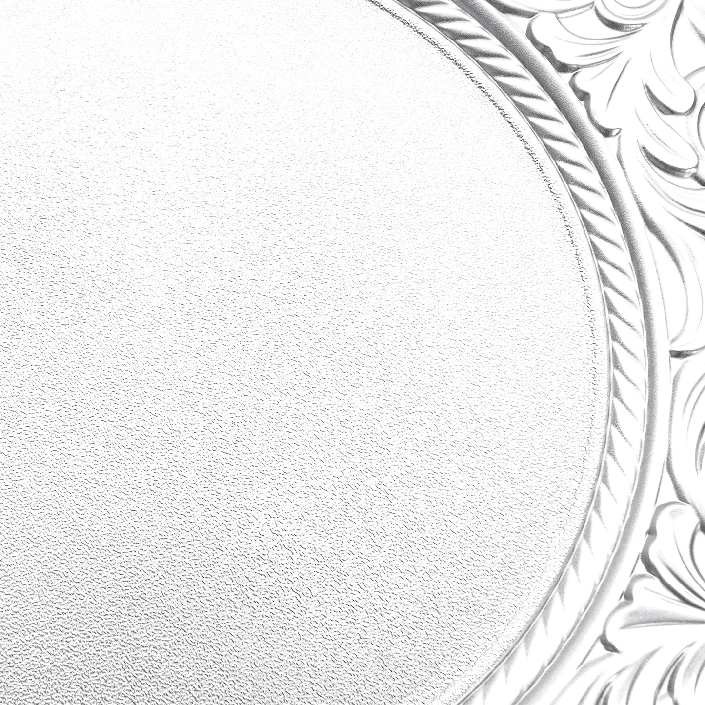 100 Pcs Silver Round Charger Plates Set, Reusable Serving Plates Disposable Platters for Wedding Party Banquets Picnics
