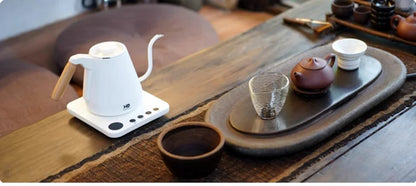 Home Electric Kettle 800ml Gooseneck Jug Hand brew Coffee Pot Thermo Pot Temperature-Control Heating Water Bottle Smart Teapot