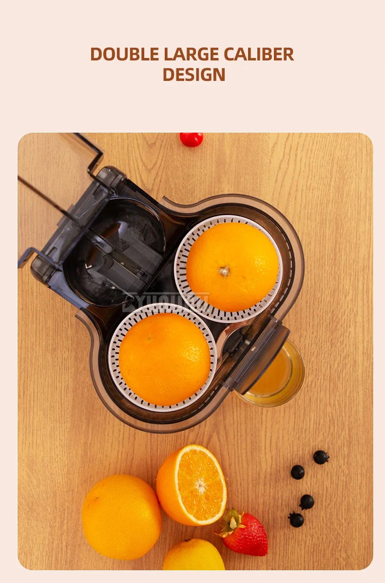 Double-head Electric Juicer Food Blender Automatic Slag Juice Separation Household Juice Squeezer Mixer
