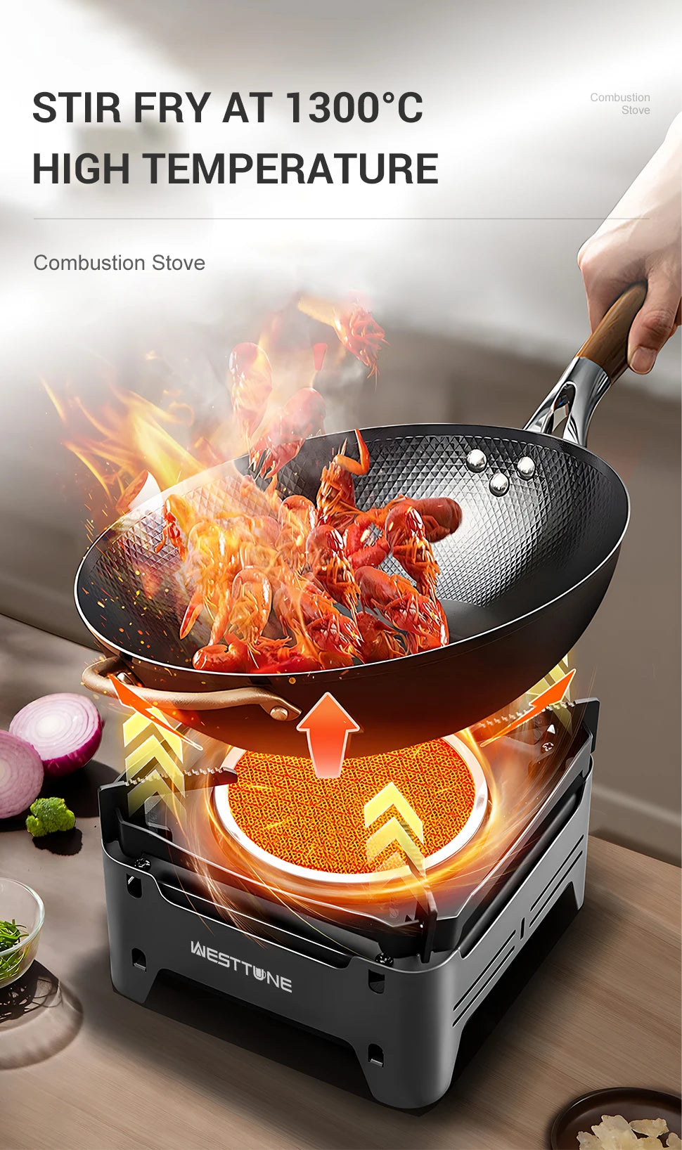 WESTTUNE Outdoor Gas Stove Portable Cooking Stoves Camping Emergency Burner with Electronic Ignition for Garden Picnic BBQ
