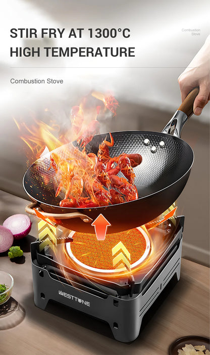 WESTTUNE Outdoor Gas Stove Portable Cooking Stoves Camping Emergency Burner with Electronic Ignition for Garden Picnic BBQ