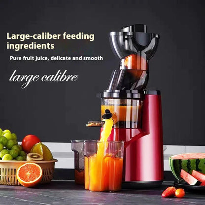 220V Automatic Juice Extractor Home Slag  Separation Ginger Fruit Vegetable Juice Extractor Multifunctional Fruit Slow Juicer