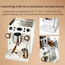STLF 9Bar Italian Pump Commercial Coffee Machine Stainless Steel Boiler PID Temperature Control System 58mm Extraction