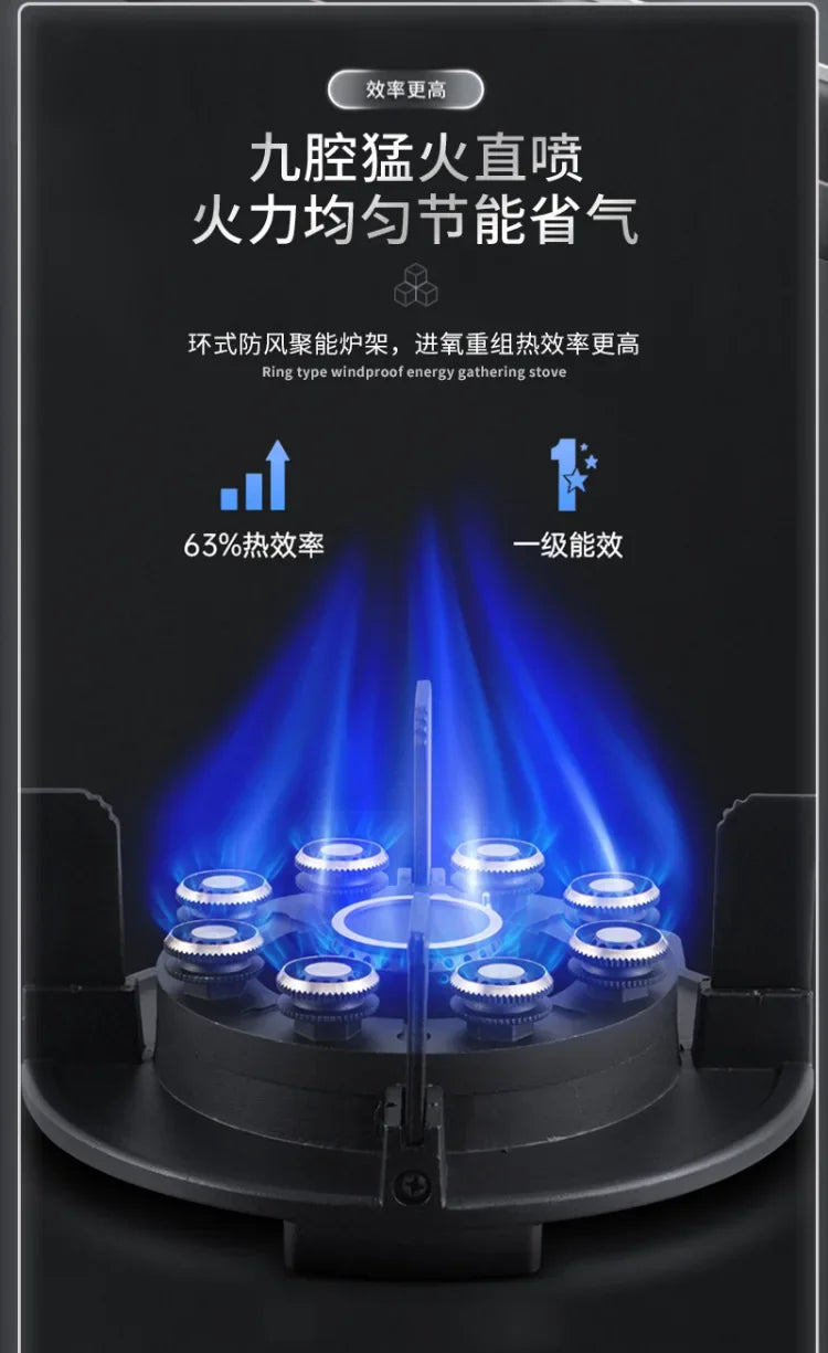 Can Be Turned up Timing Fierce Fire Gas Double Burner Household Gas Furnace Natural Liquefied Petroleum Gas Stove Embedded