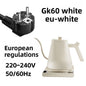 110V 220V 1000W Premium Stainless Steel Ultra-Fast Hot Water Boiler 40-100℃ 600ML Electric Gooseneck Pour Over Coffee Kettle