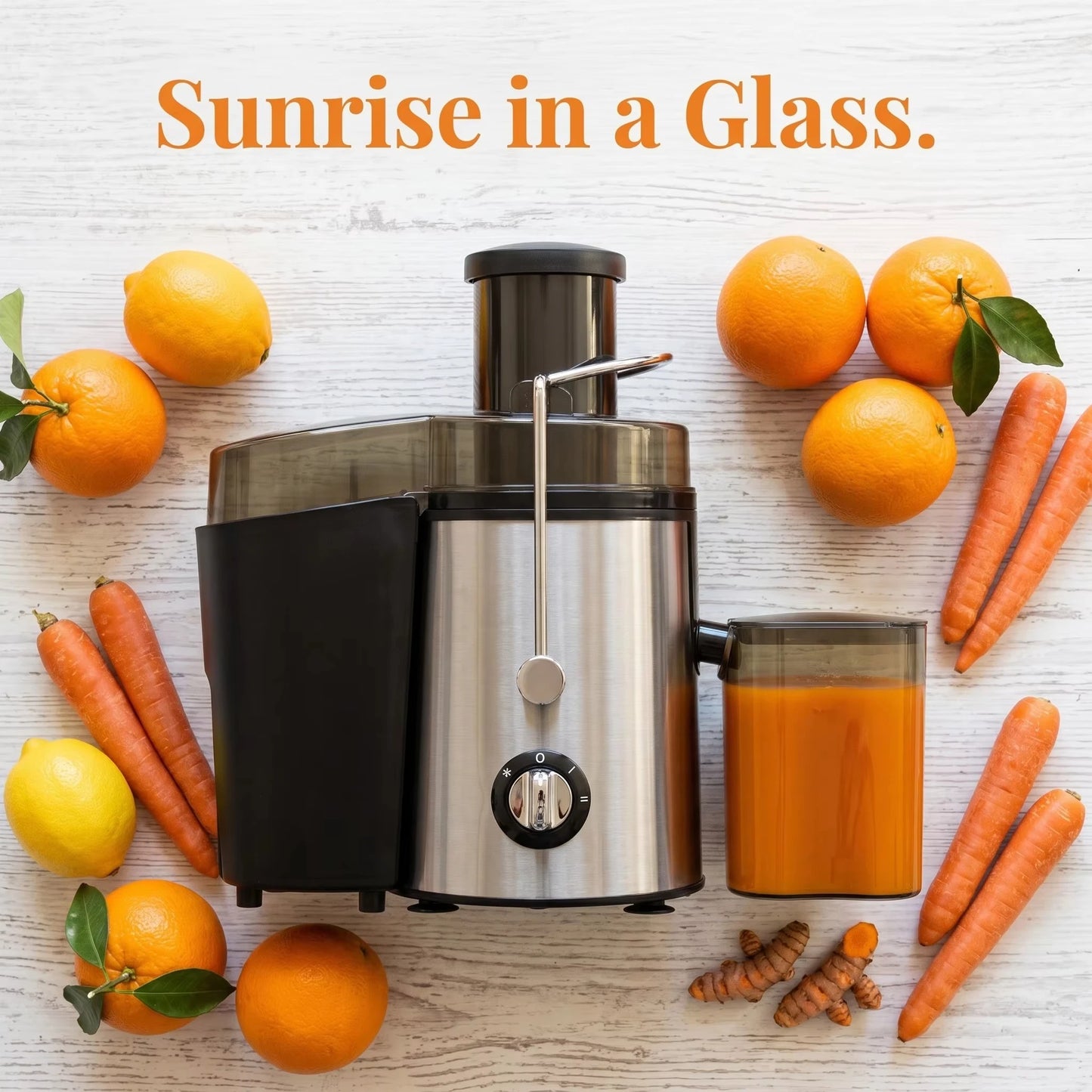 Strong Power Fruit Juicer 800W Centrifugal Juicer Easy To Clean Juice Extractor for Fruits Vegetables Portable Juicer Machine