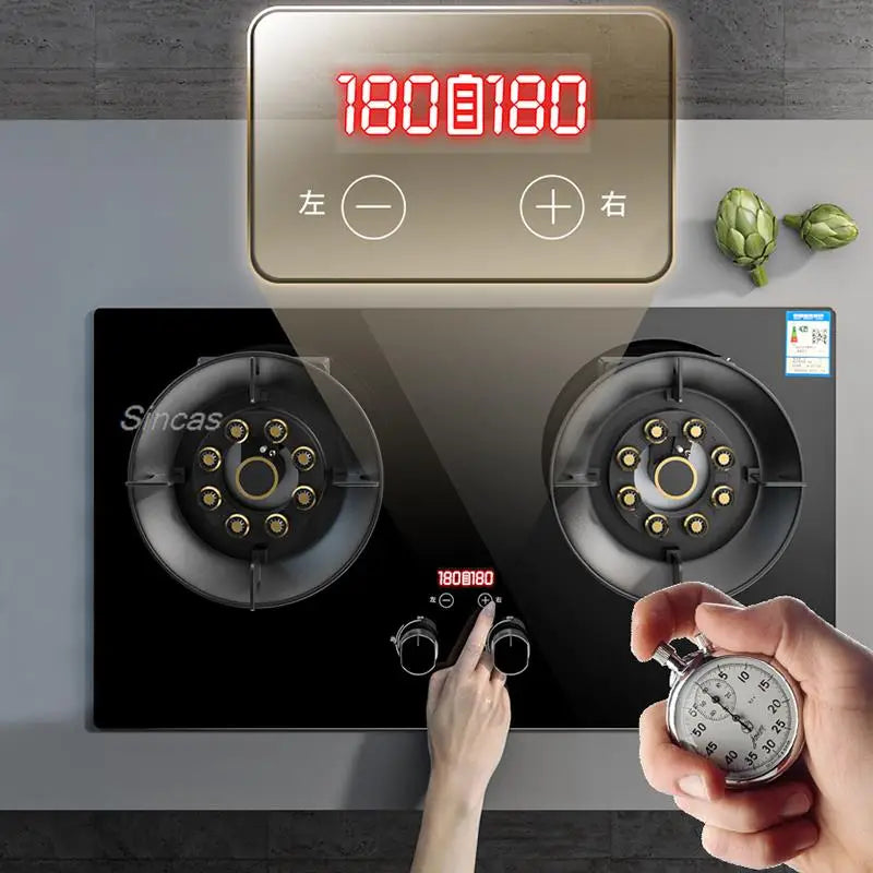 Kitchen Gas Stoves Home Dual Stove Kitchen Embedded Nature Gas/LPG Timing Stove Desktop Dual-Use Cooktop Gas Panel Gas Cooker