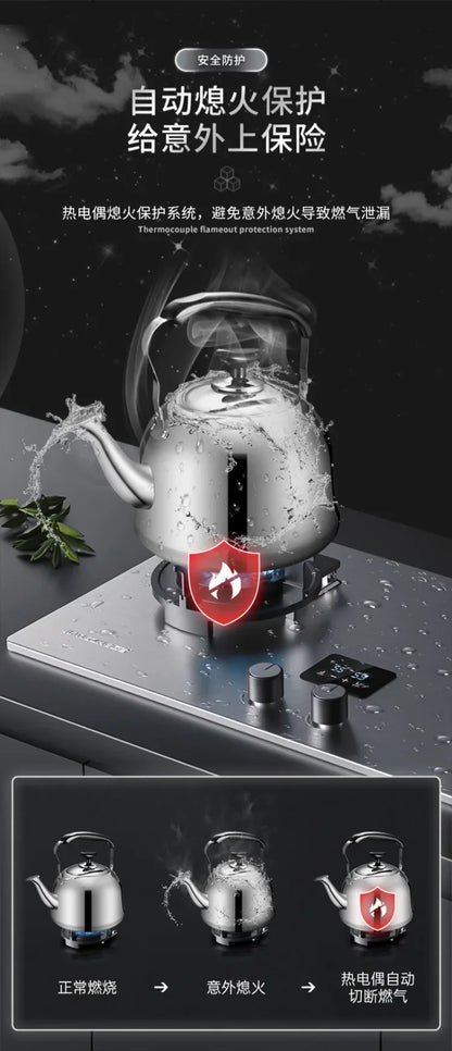 Can Be Turned up Timing Fierce Fire Gas Double Burner Household Gas Furnace Natural Liquefied Petroleum Gas Stove Embedded