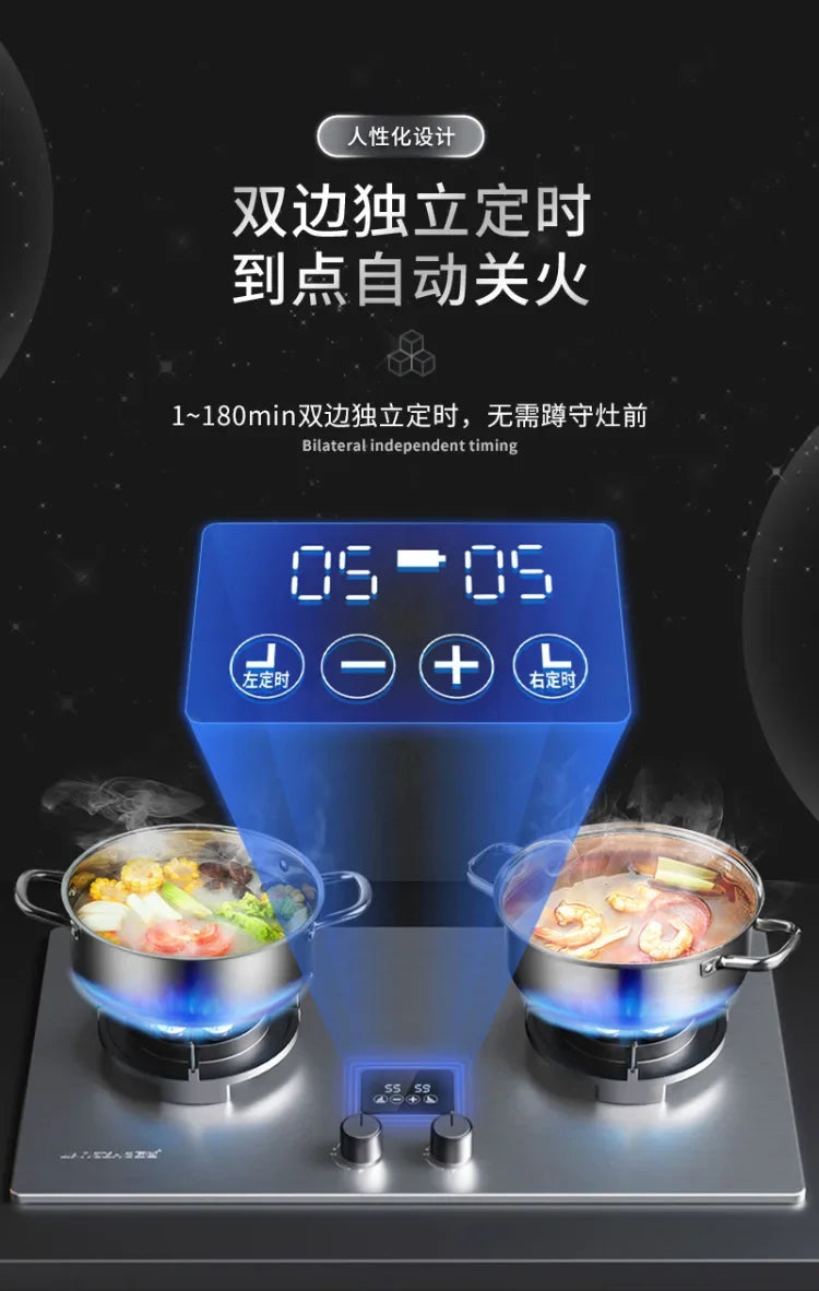 Can Be Turned up Timing Fierce Fire Gas Double Burner Household Gas Furnace Natural Liquefied Petroleum Gas Stove Embedded