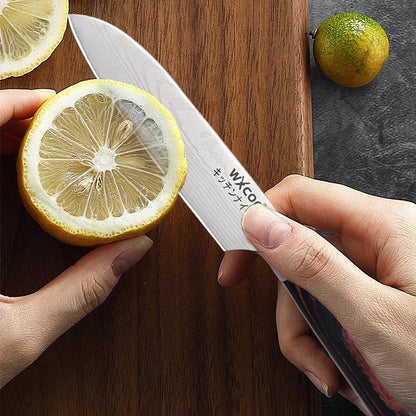 WXCOO Professional Chef Knife Damascus Japanese Stainless Steel Kitchen Boning Knives Set with Roll Canvas Bag