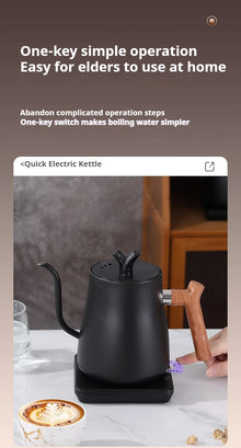 1L Stainless Steel Electric Kettle, Auto Shut-Off, for Pour-Over Coffee/Tea, Smart Temp Control & Mechanical Models