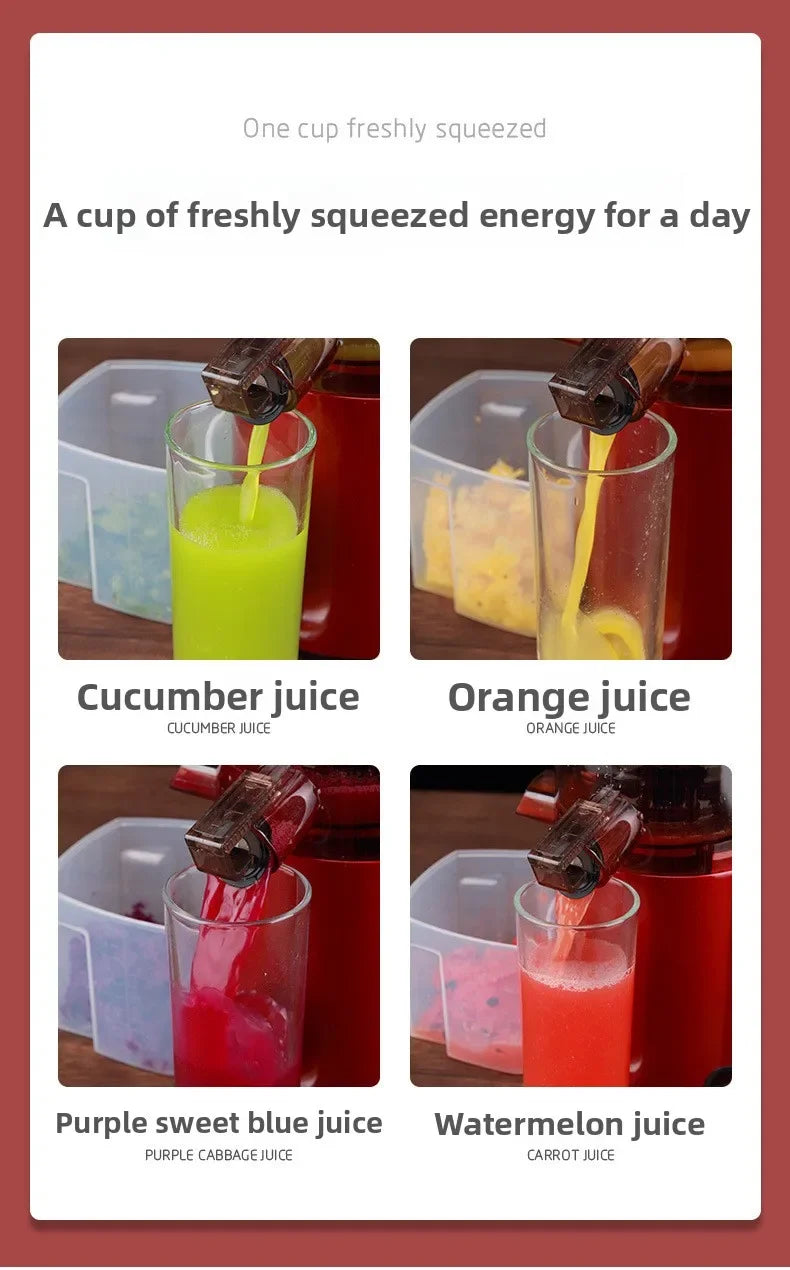 220V Automatic Juice Extractor Home Slag  Separation Ginger Fruit Vegetable Juice Extractor Multifunctional Fruit Slow Juicer