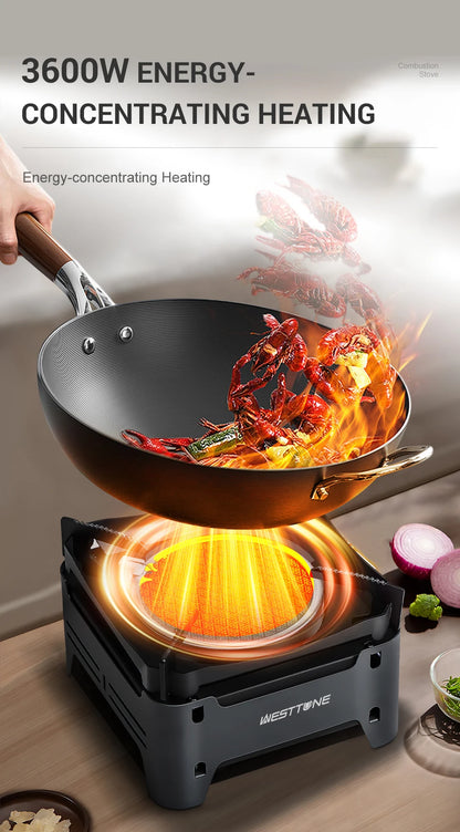 WESTTUNE Outdoor Gas Stove Portable Cooking Stoves Camping Emergency Burner with Electronic Ignition for Garden Picnic BBQ