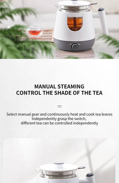 Black Tea Brewing Electric Tea Pot - Automatic Steam Glass Tea Maker for Boiling Water Health Preservation