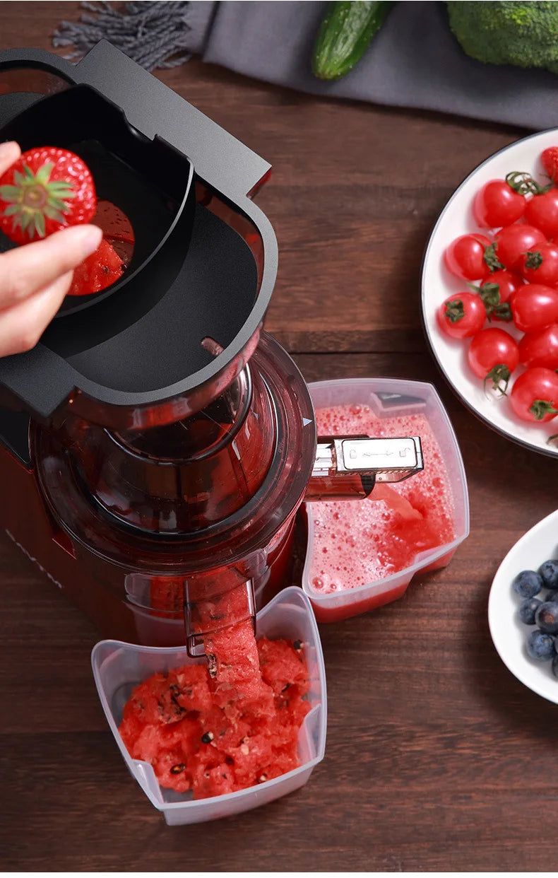 220V Juice Extractor Home Slag Separation Ginger Fruit Vegetable Juice Extractor Multifunctional Fruit Slow Juicer Automatic