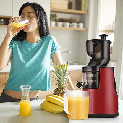 220V Juice Extractor Home Slag Separation Ginger Fruit Vegetable Juice Extractor Multifunctional Fruit Slow Juicer Automatic