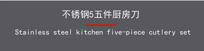 5 Piece Stainless Steel Kitchen Knife Set, Ergonomic Hollow Handle Design, Household Chef Knife for Chopping Carving Slicing