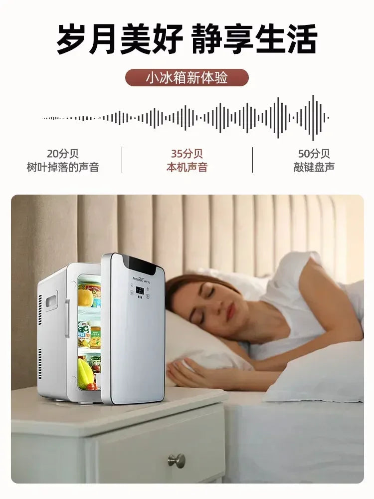 USB/220V Compact Refrigerator by Xinfei - Portable Mini Fridge for Office, Home and Car Use DB