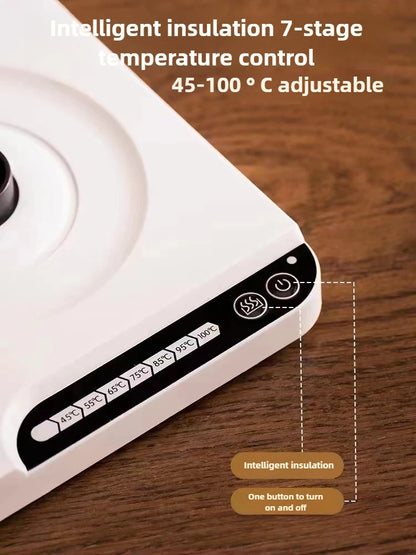 1L Gooseneck Electric Kettle, Auto-Thermostatic Pour-Over Coffee&Tea Water Heater & 7-Temp Control (45-100°C) for Home/Hotel Use