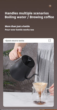 1L Stainless Steel Electric Kettle, Auto Shut-Off, for Pour-Over Coffee/Tea, Smart Temp Control & Mechanical Models