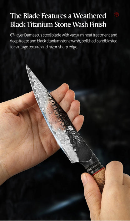 XINZUO Eight-piece Kitchen Knife Set 67 Layers Damascus Super Steel Hardness 60±2HRC Ideal For Home Kitchen Vegetable Prep