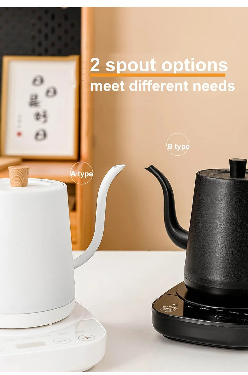 110V/220V Electric Kettle Temperature Control Teapot 304 Stainless Steel Long Mouth Gooseneck Coffee Auto Keep Warm 800ml