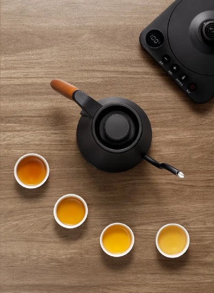 Home Electric Kettle 800ml Gooseneck Jug Hand brew Coffee Pot Thermo Pot Temperature-Control Heating Water Bottle Smart Teapot
