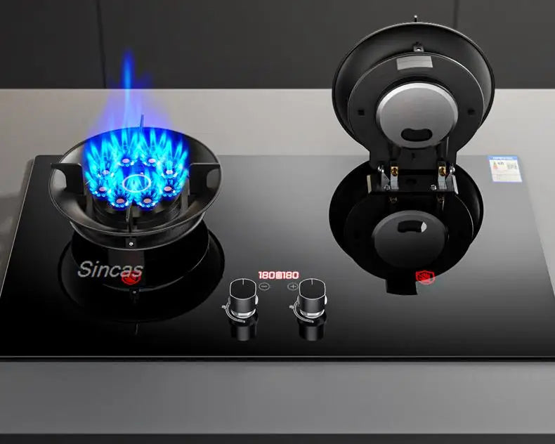 Kitchen Gas Stoves Home Dual Stove Kitchen Embedded Nature Gas/LPG Timing Stove Desktop Dual-Use Cooktop Gas Panel Gas Cooker