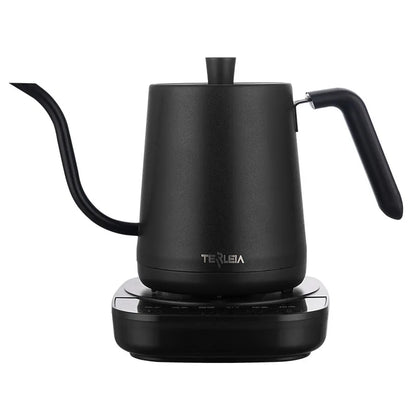 110V/220V Electric Kettle Temperature Control Teapot 304 Stainless Steel Long Mouth Gooseneck Coffee Auto Keep Warm 800ml