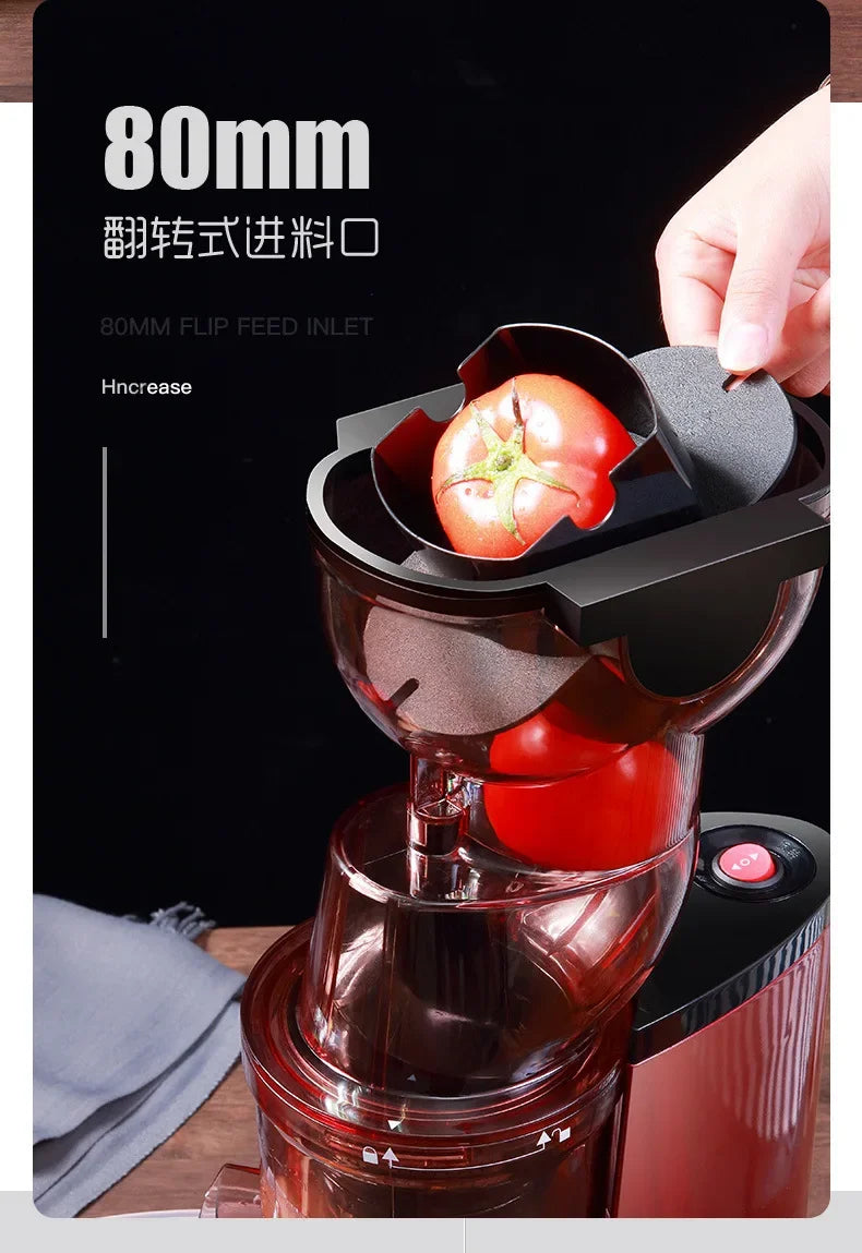 220V Automatic Juice Extractor Home Slag  Separation Ginger Fruit Vegetable Juice Extractor Multifunctional Fruit Slow Juicer