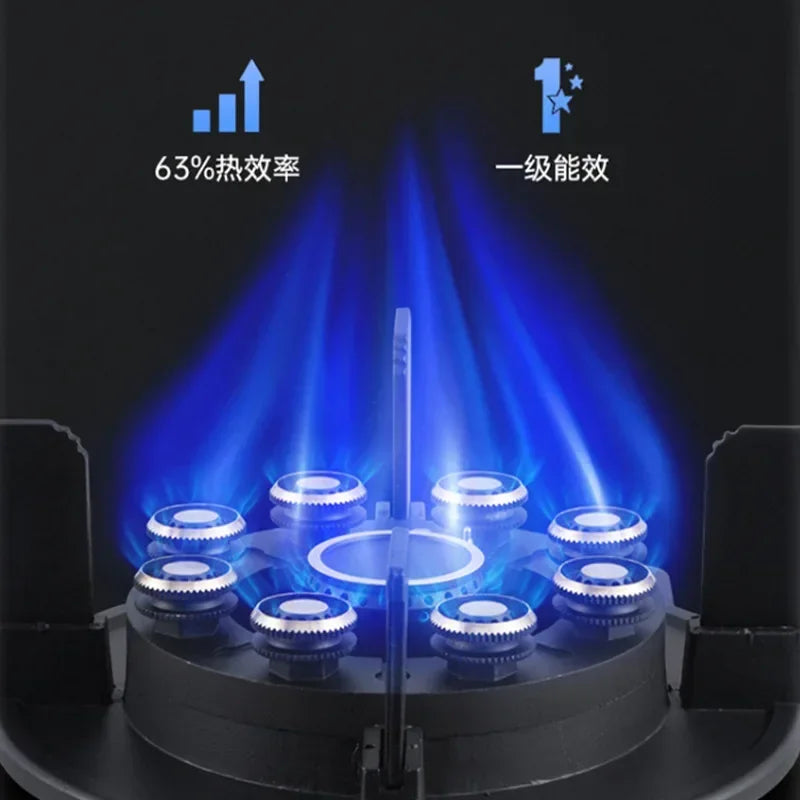 Can Be Turned up Timing Fierce Fire Gas Double Burner Household Gas Furnace Natural Liquefied Petroleum Gas Stove Embedded