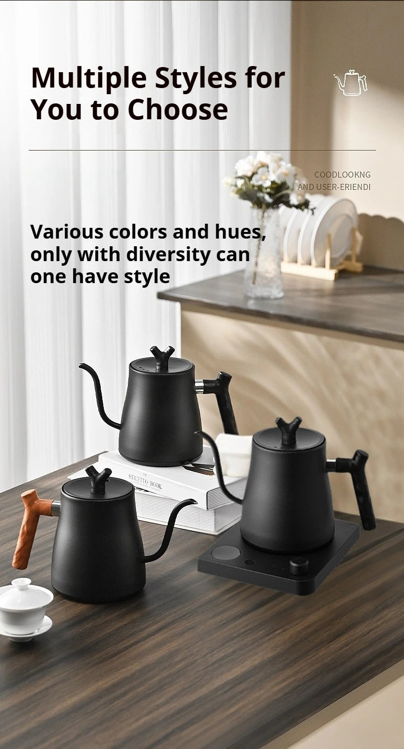 V60 1000W Fast Electric Kettle, 1L Capacity, 304 Stainless Steel, One-Touch Boil & Dry Burn Protection