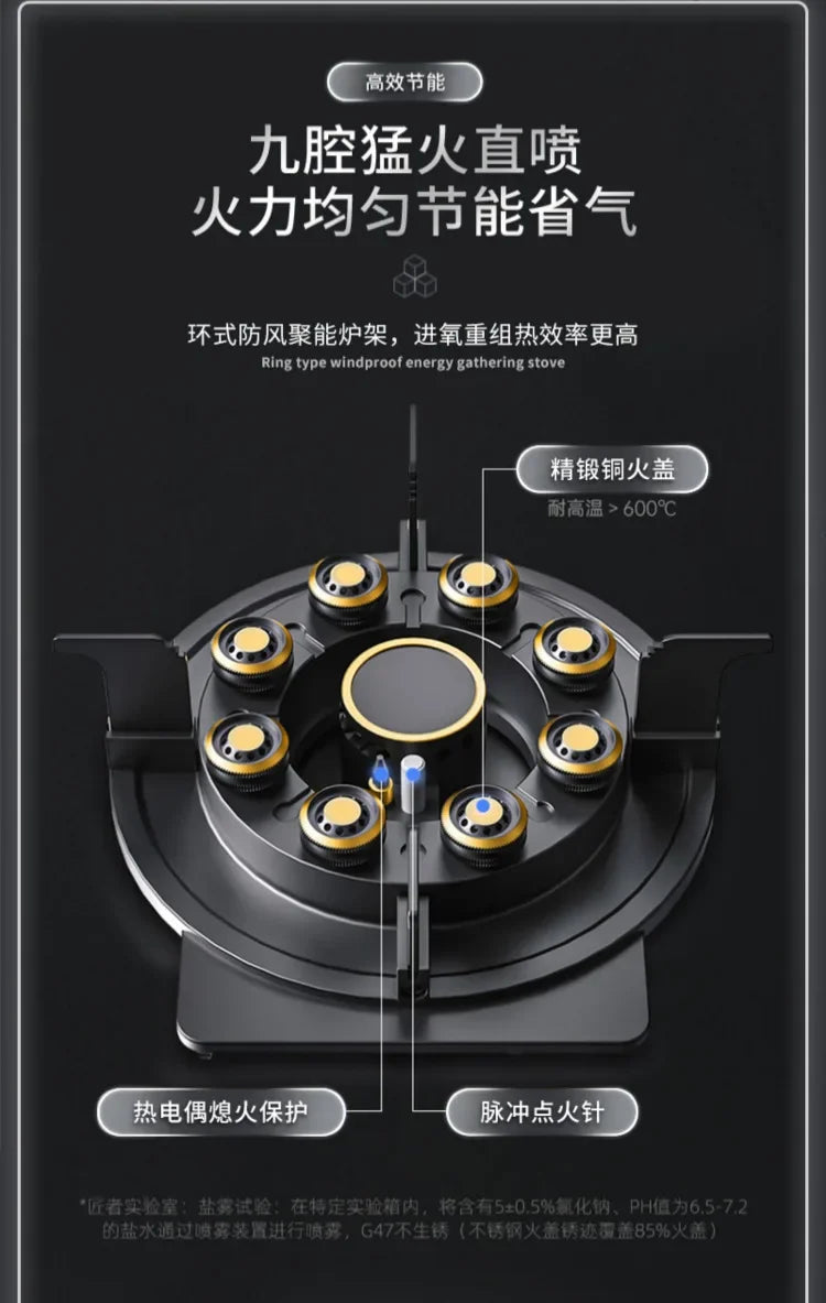 Can Be Turned up Timing Fierce Fire Gas Double Burner Household Gas Furnace Natural Liquefied Petroleum Gas Stove Embedded