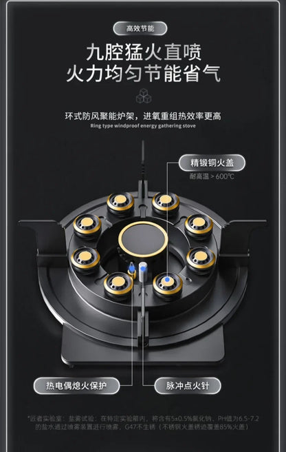 Can Be Turned up Timing Fierce Fire Gas Double Burner Household Gas Furnace Natural Liquefied Petroleum Gas Stove Embedded